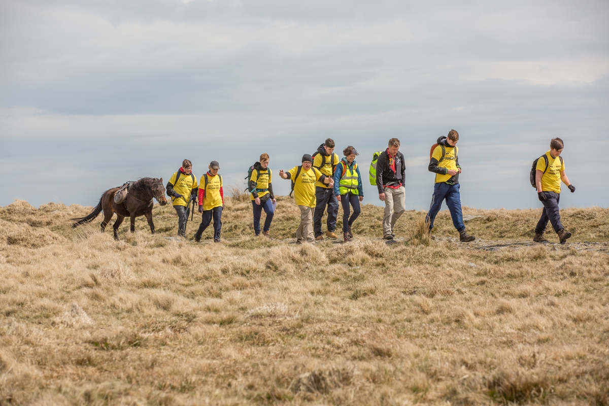 © Malcolm Snelgrove