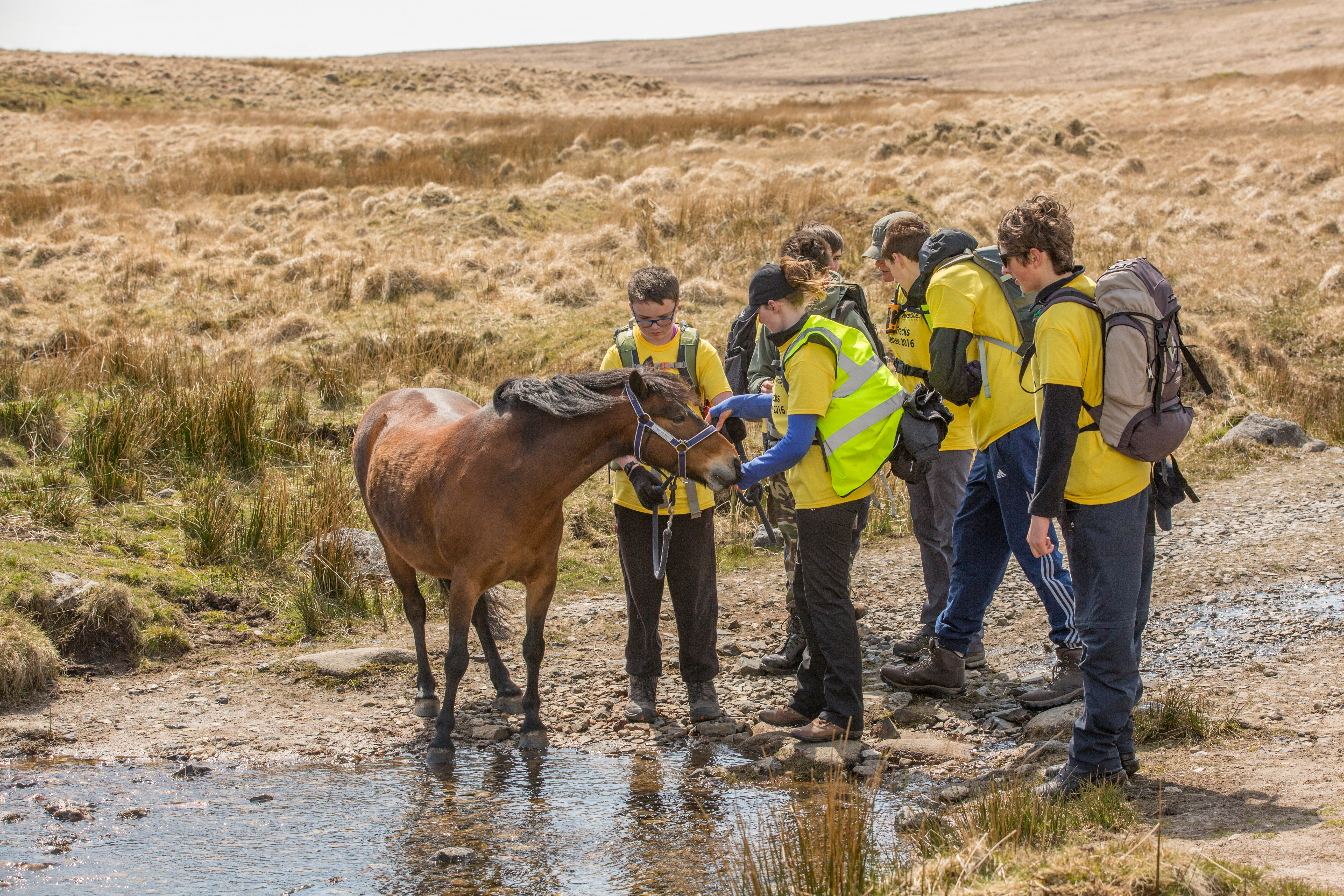 © Malcolm Snelgrove