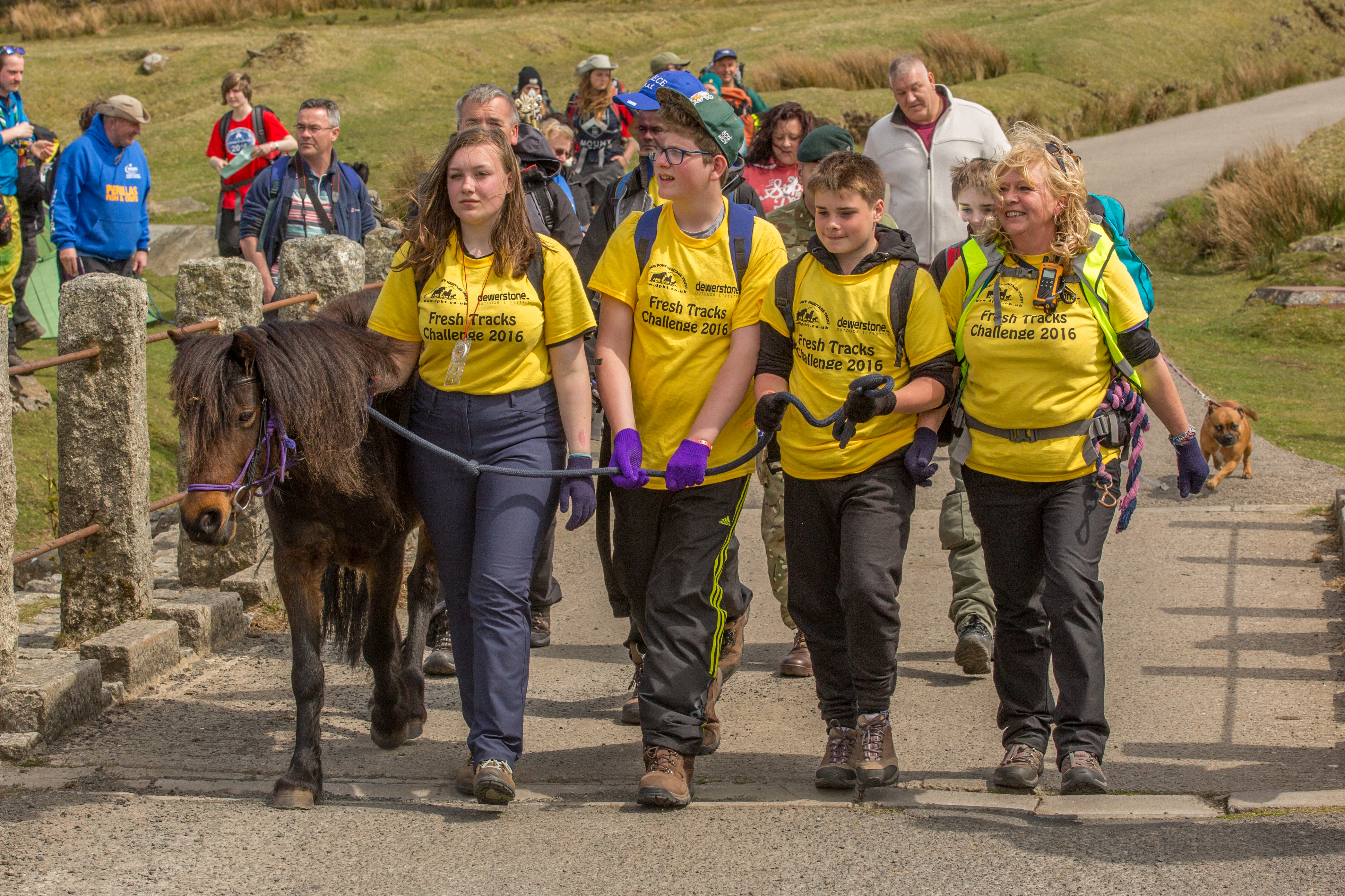 © Malcolm Snelgrove