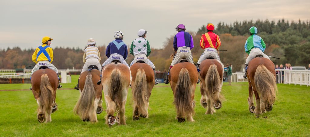 clydesdales