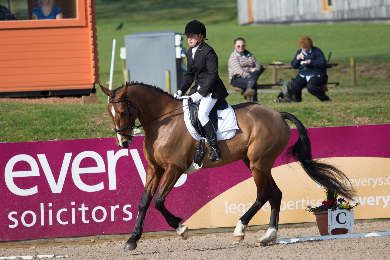 Bicton to host Area Dressage Festival The Gaitpost