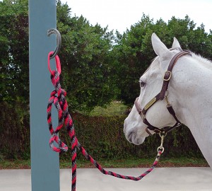 Safe-T-Tie Horse_CrossTie emailer