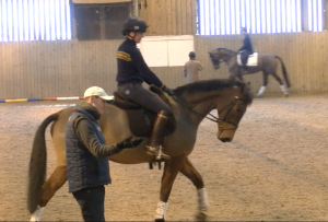 Screen Shot 2015-03-03 at 15.55.46