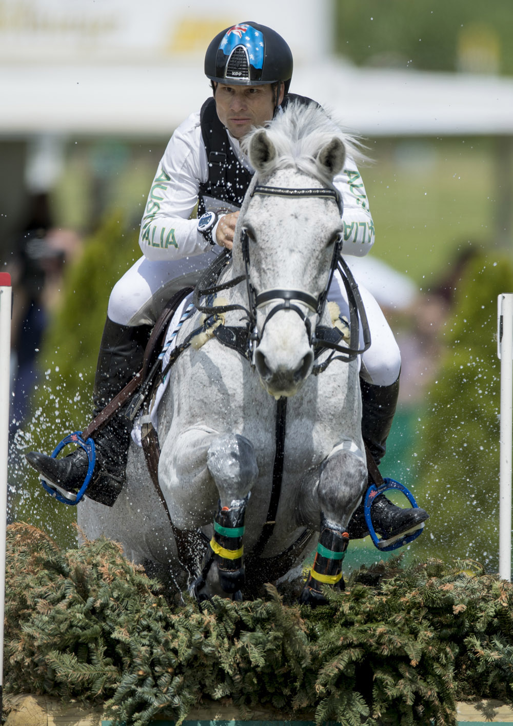 Shane Rose and CP Qualified © FEI/Dirk Caremans