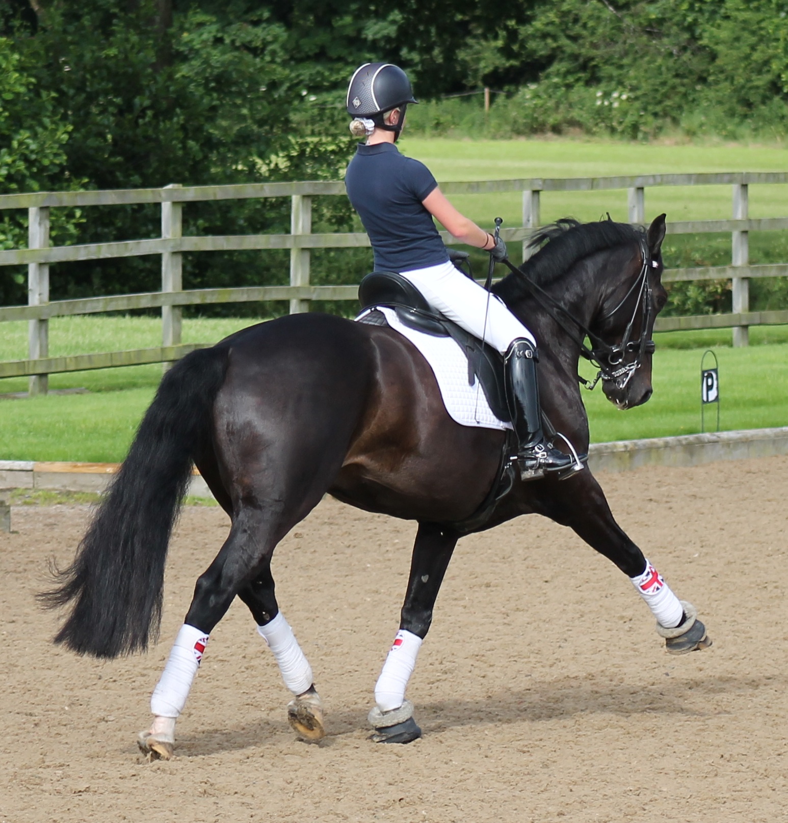 Sophie Quarterman - Dressage