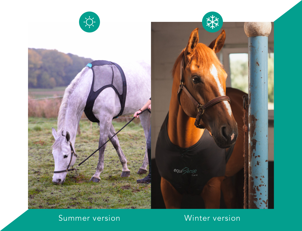 summer-winter-version