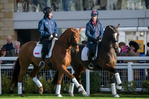Champion jockey AP McCoy receives a dressage lesson from Olympic gold medalist Charlotte Dujardin - Open Meet, Countryside Day - Cheltenham Racecourse, Cheltenham, Gloucestershire, United Kingdom - 13 November 2015