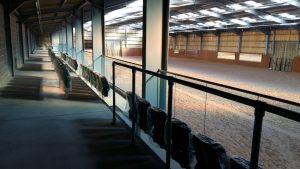 The indoor arena viewing gallery