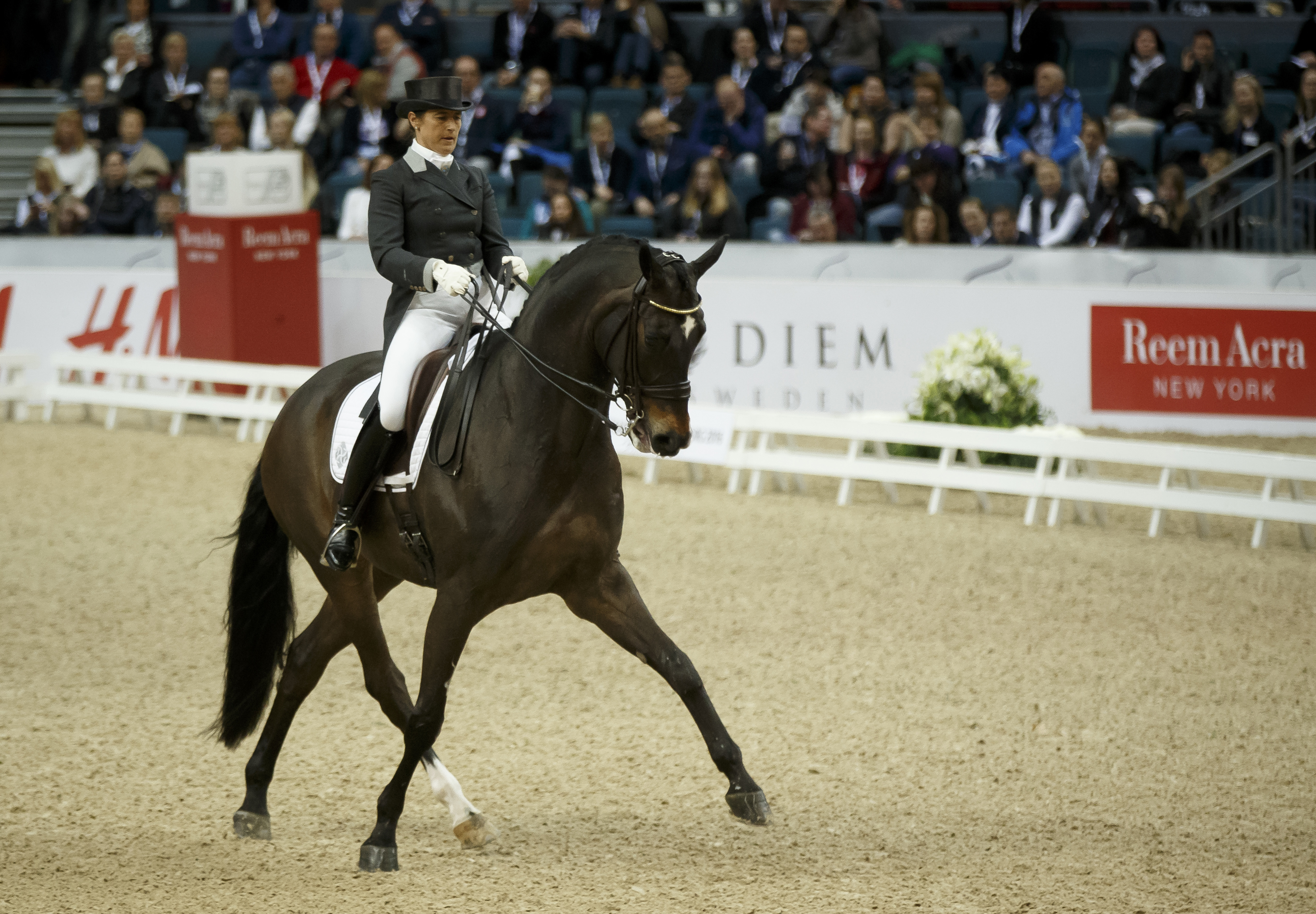 Vilhelmson Silfven Tinne, (SWE) & Don Auriello © Hippo Foto - Dirk Caremans