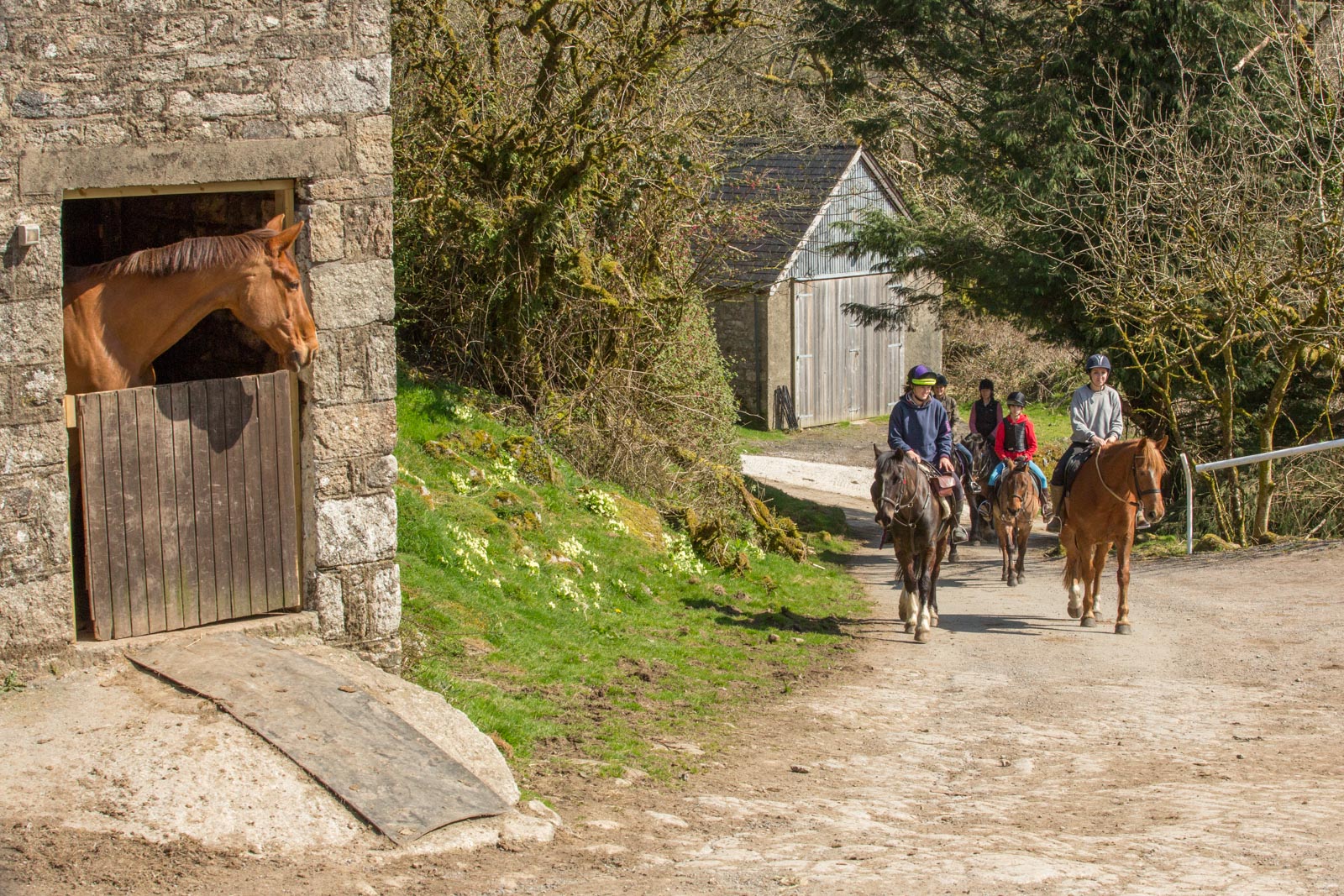 trekkers-coming-home