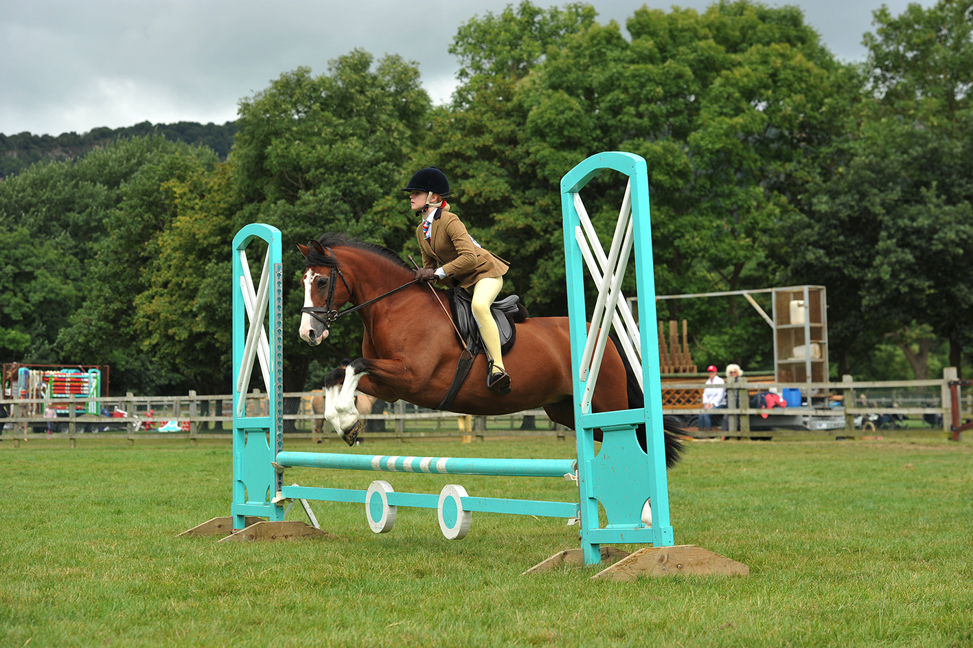 Tynwydd Good Friday, Champion NPSTopSpec Style & Performance Showjumping, 1st NPSTopSpec Style & Performance Showjumping 138cm. ridden by Ella Stanford, owned by Louise Stanford
