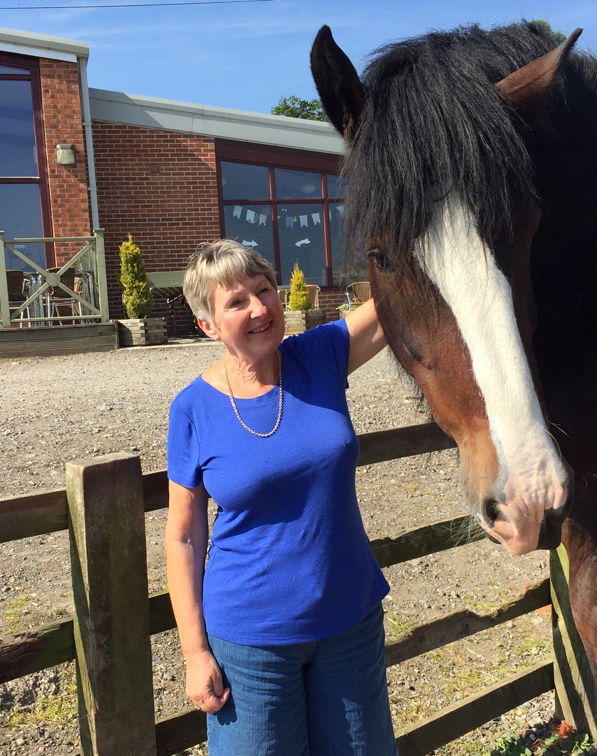 Val Stones with a Shire horse owned by her sister-in-law's family