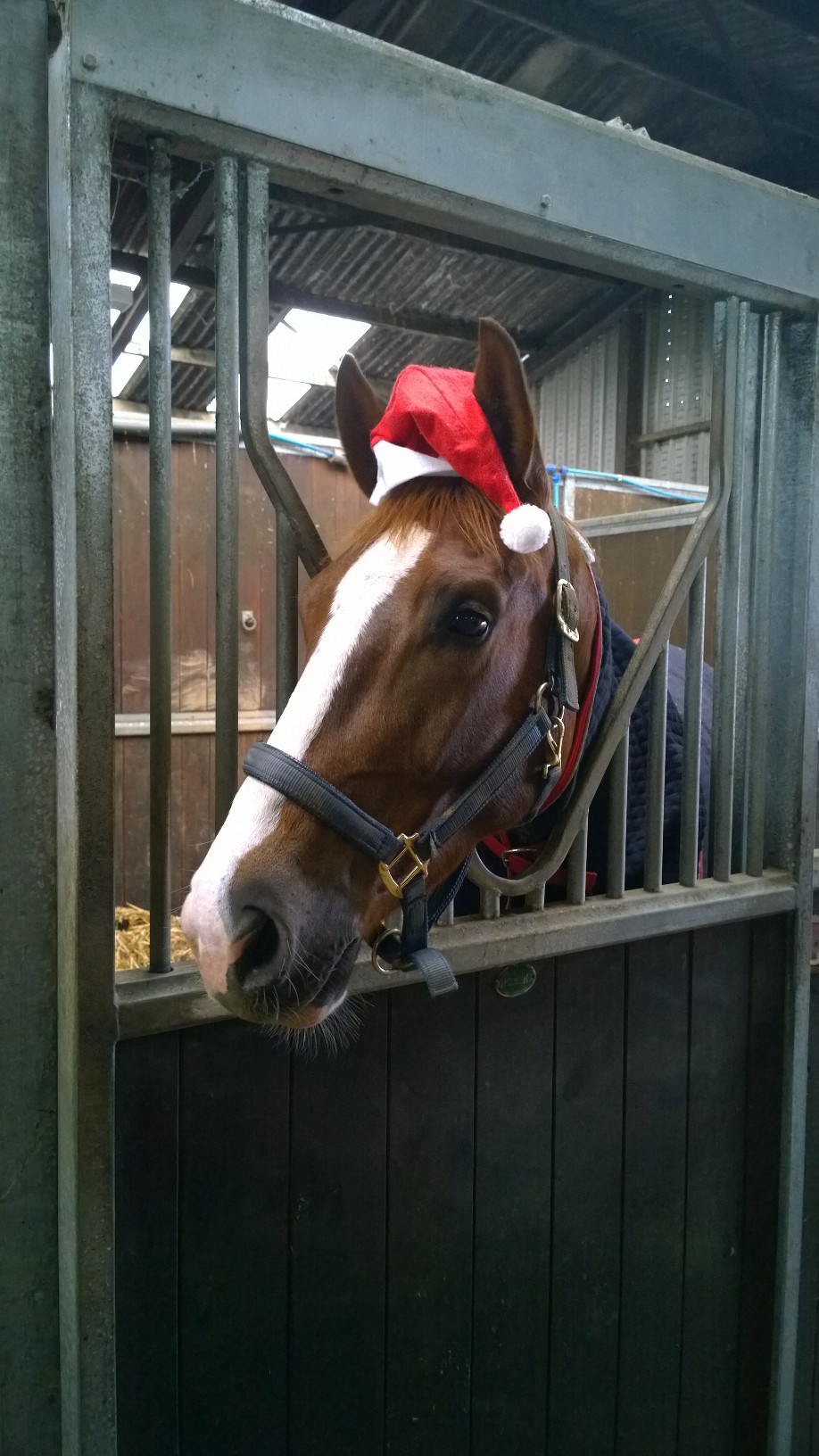 WP_20141223_09_53_34_Pro