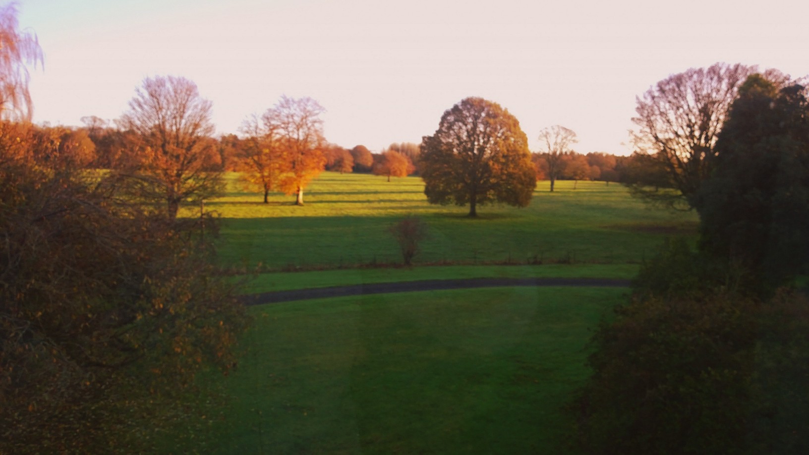 WP_20151120_09_01_55_Pro (2)