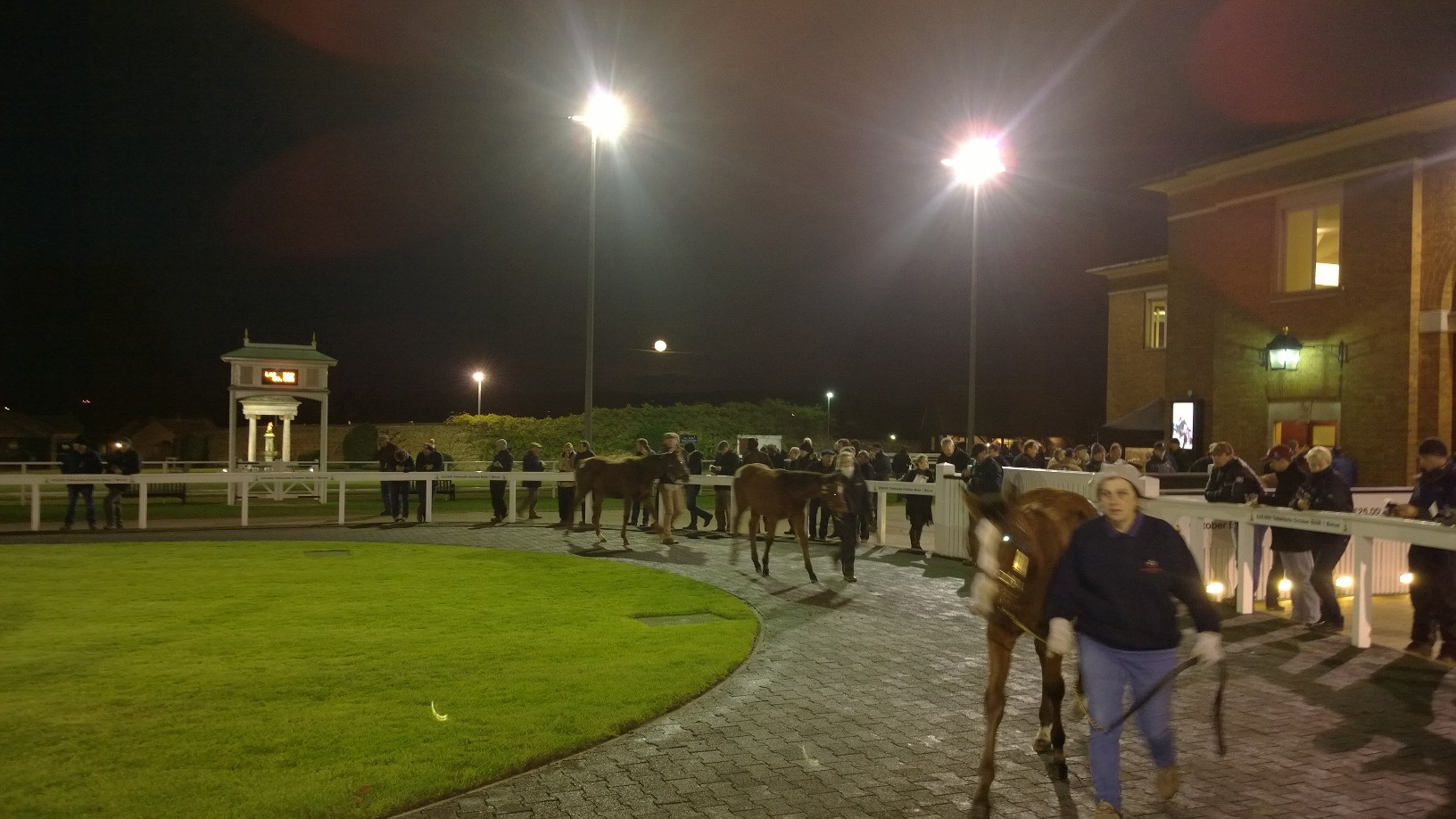 Working into the night at the pre-parade ring at Tattersalls