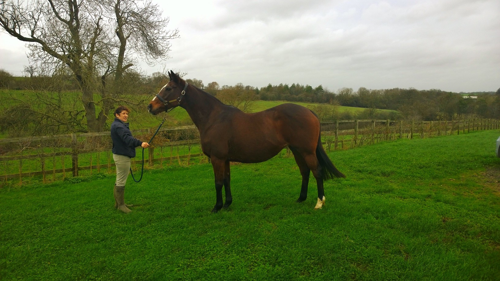 WP_20151205_09_39_56_Pro (2)