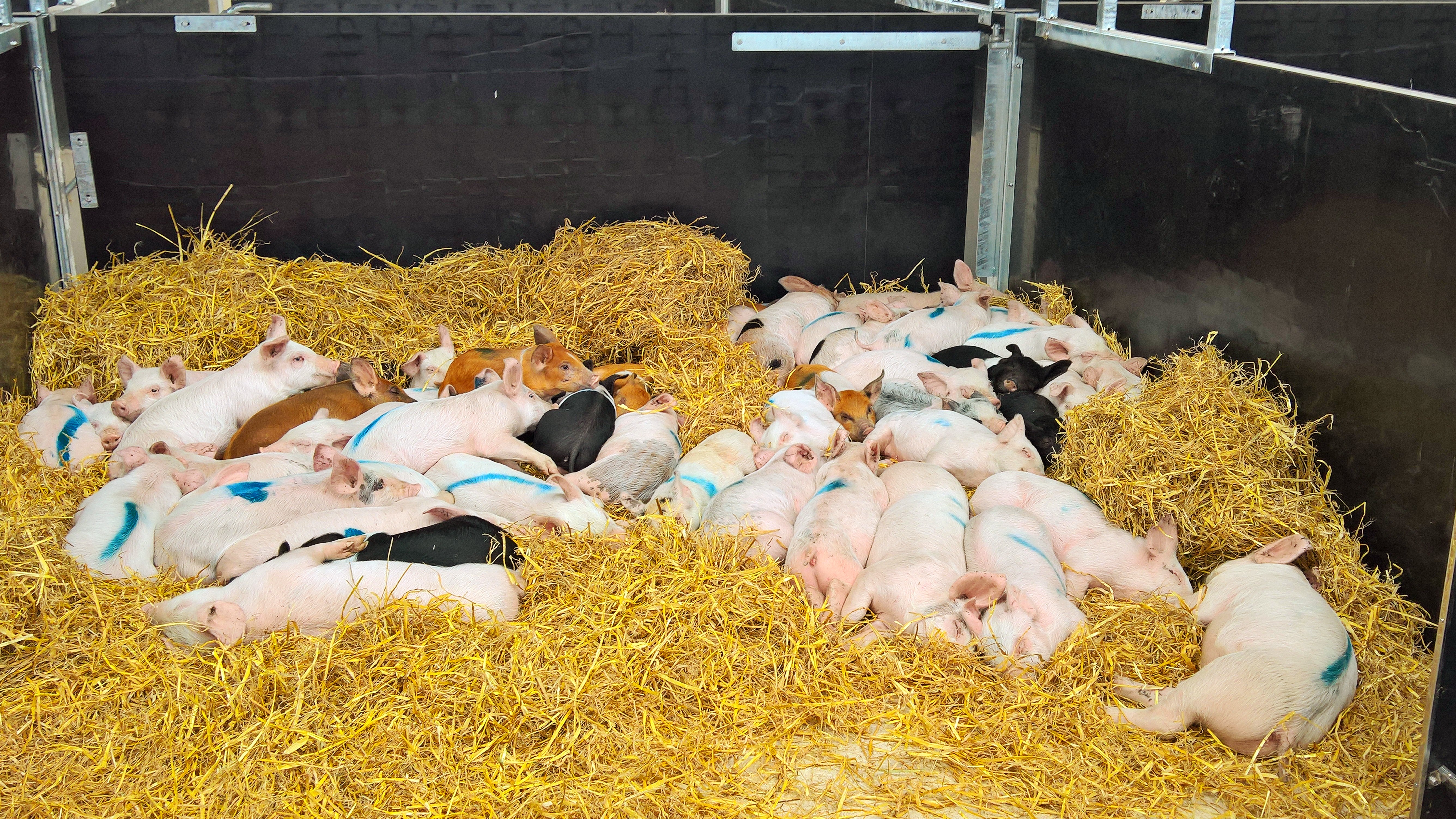 wp_20160519_16_21_11_pro-2