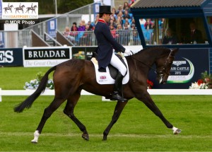 Wills Oaken & Greystone Midnight Melody