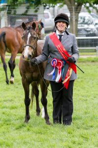 World Horse Welfare Lion - Rescue Classes Champion