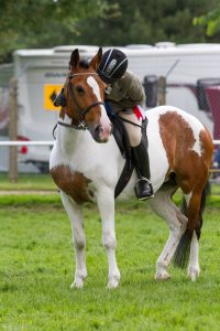 World Horse Welfare Roxanne - 1st ridden class