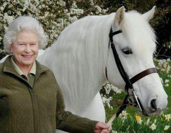 b451fc8056d4fac57ed93ea2c3af7dce