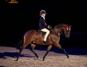 © Nico Morgan Photography