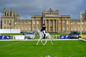 pippa dressage