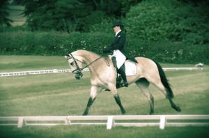 pumbaa dun dressage