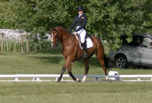 Guinea-pigging with Mickey