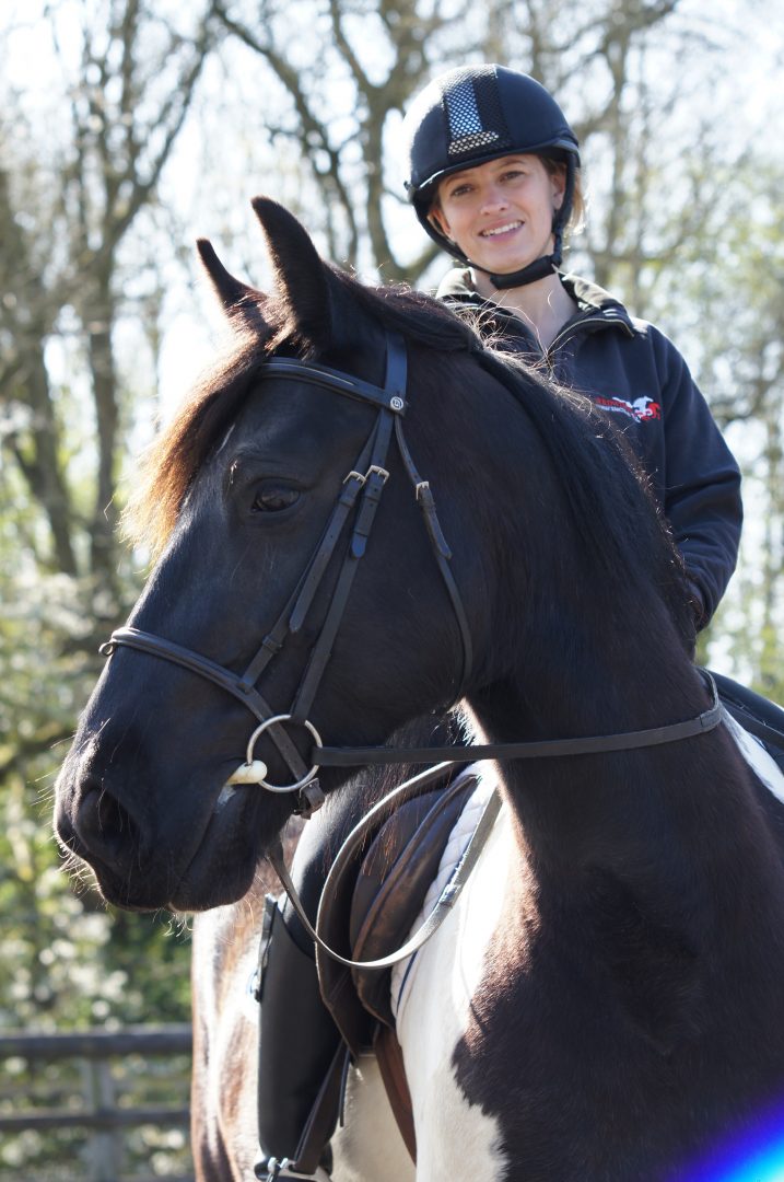 Giving rescued horses a second chance | The Gaitpost