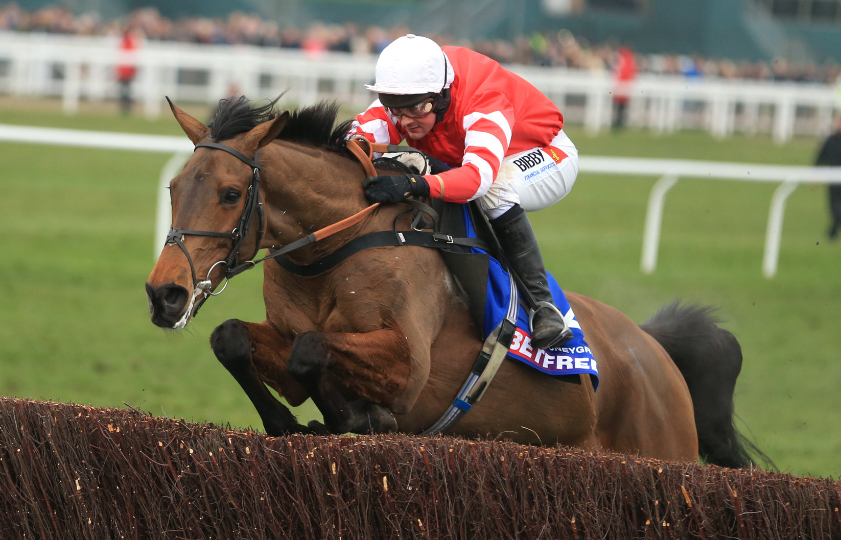 Coneygree ridden by Nico de Boinville jumps the last fence on his way to winning The Betfred Cheltenham Gold Cup Steeple Chase