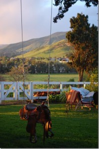 Great saddle swing! Found on audribeth.blogspot.com