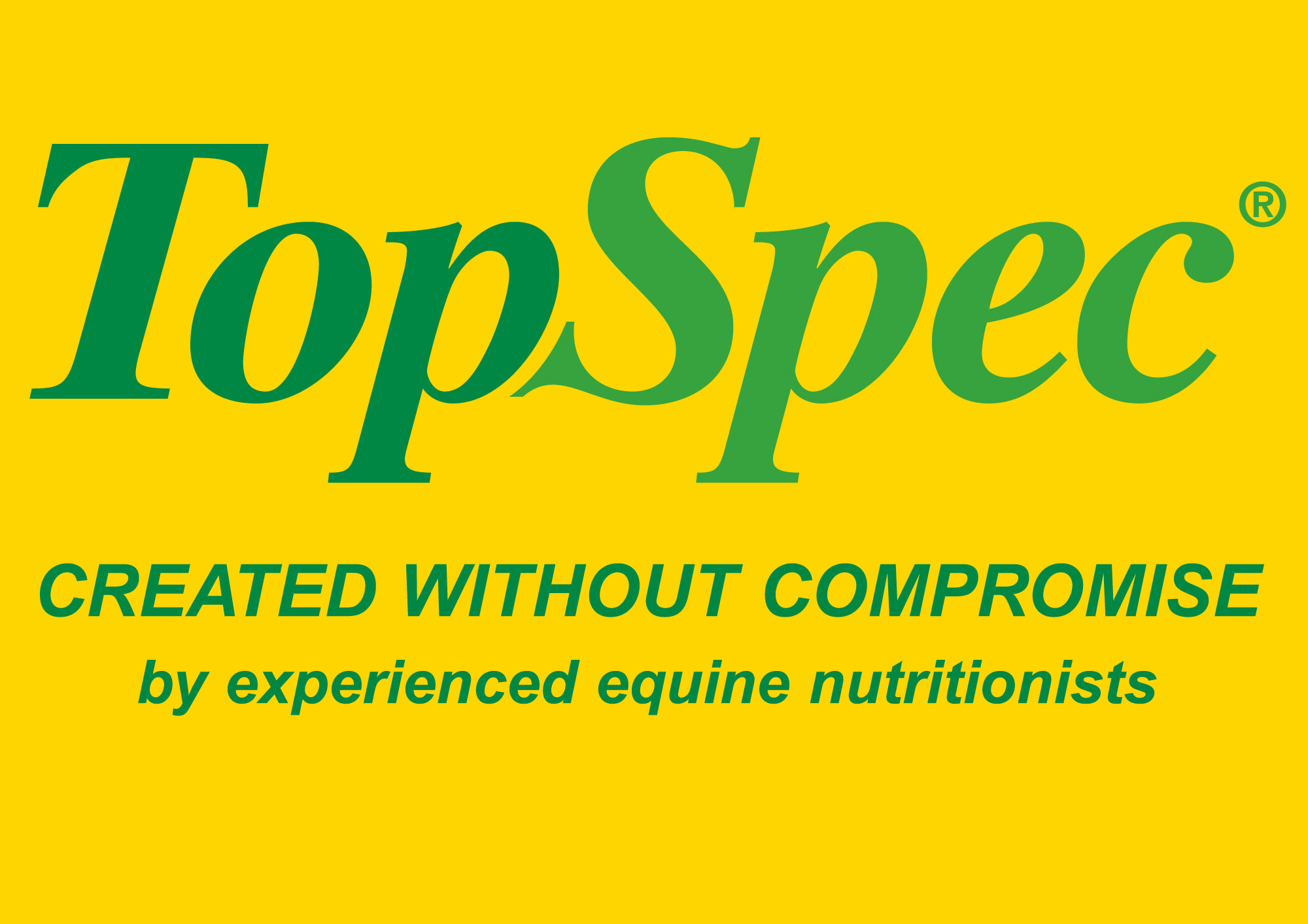 topspec-logo-strapline-also