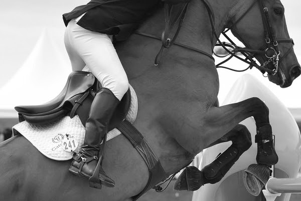 James Fisher riding Zahra