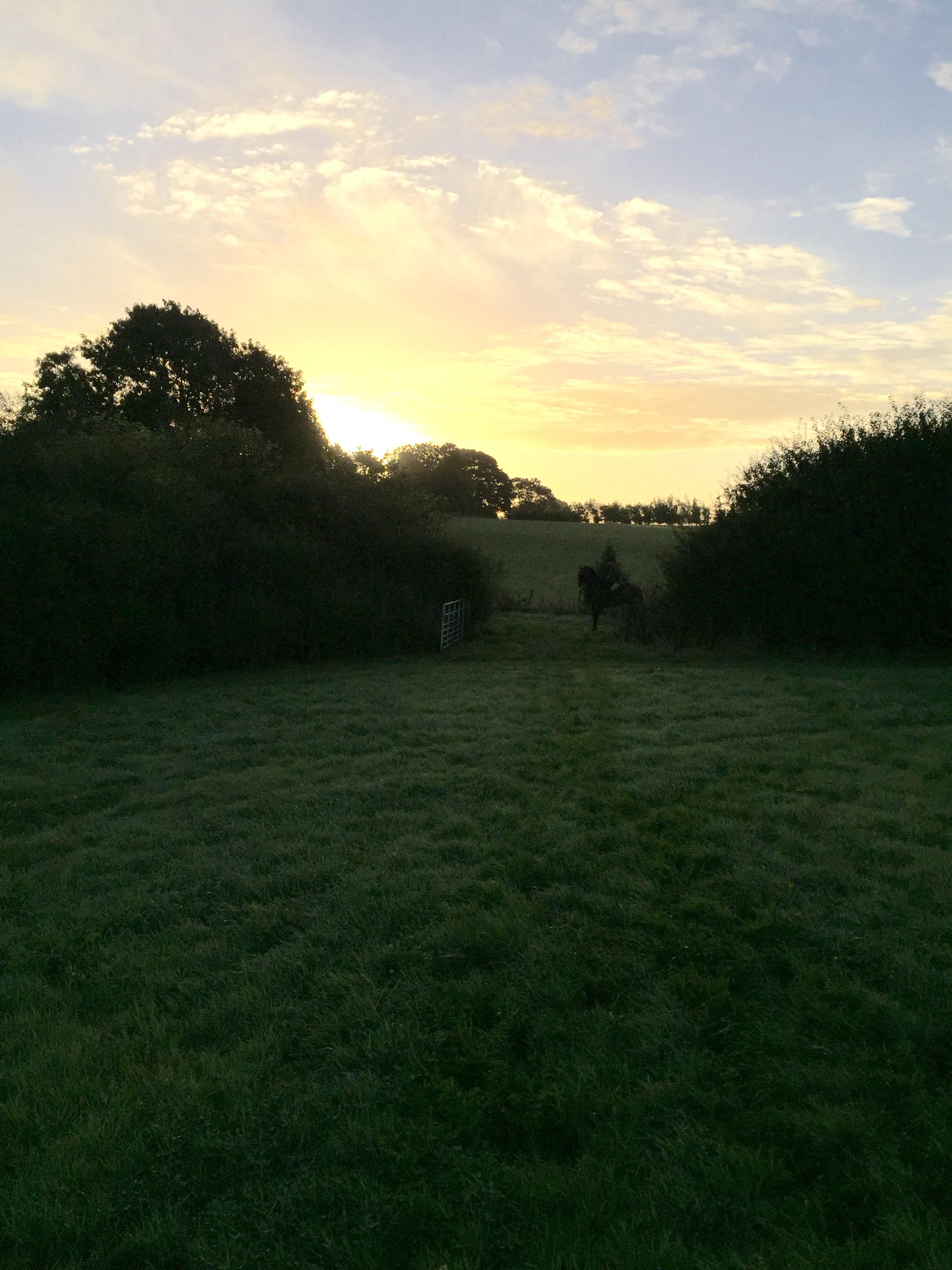 Morning out with the Bicester