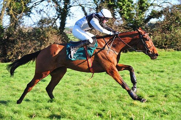Flemenshill