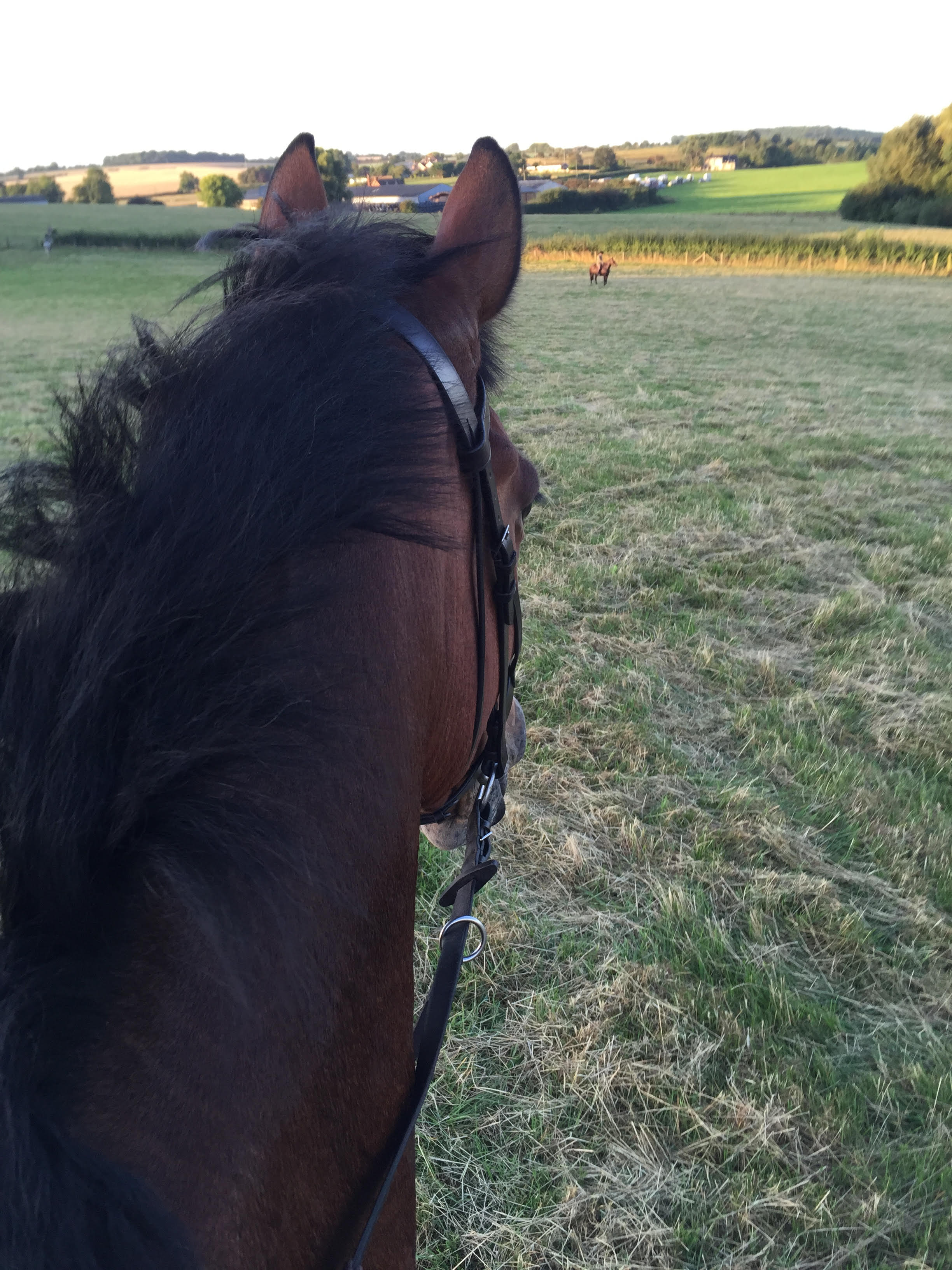 Morning with Warwickshire